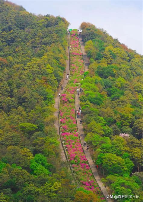 深圳梧桐山|深圳十峰之梧桐山爬山攻略